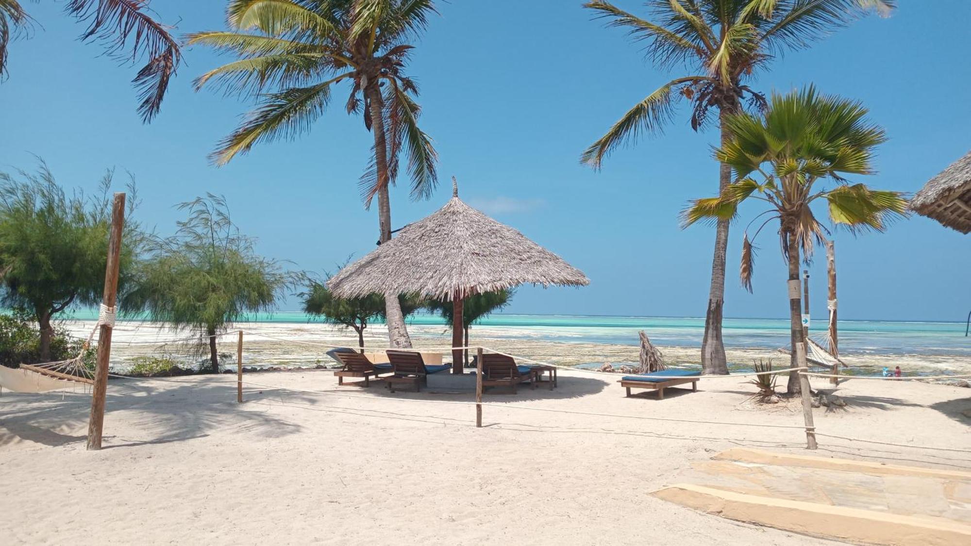Reef & - Jambiani (Zanzibar)
